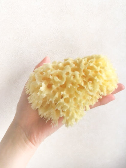 Sea Wool Natural Sponge
